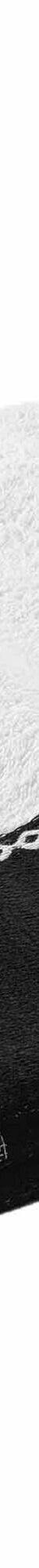 Éponge unie 450 g/m² liteau jacquard confort moelleux (blanc) Éponge unie 450 g/m² liteau jacquard confort moelleux (blanc)